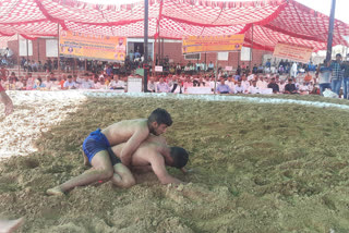 lohagarh Kesari Dangal competition in Bharatpur