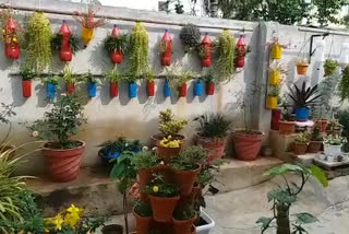 Terrace Garden: ఆరోగ్యంపై పెరిగిన స్పృహ.. నగర సేద్యంపై క్రమంగా పెరుగుతున్న అభిరుచి