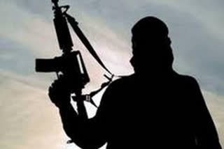 Naxal injured in clash with police in Gondia, Maharashtra