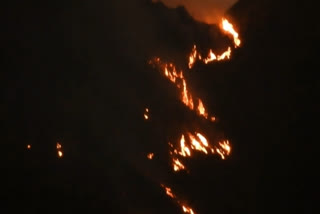 forest fire in kodaikanal  kosaikanal forest fire  forest fire  sudden fire in kodaikanal  காட்டுத் தீ  கொடைக்கானலில் காட்டுத்தீ  கொடைக்கானல் காட்டுத்தீ