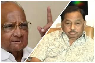 Sharad Pawar-Narayan Rane