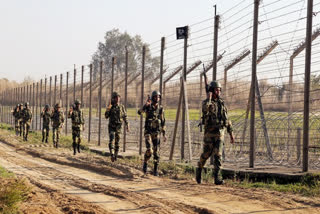 2 Pak nationals held by BSF at Indo-Pak border