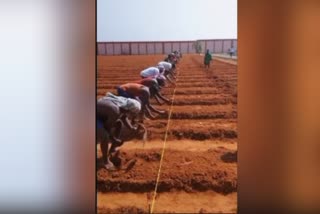 puducherry-central-jail-prisoners-doing-nature-farming