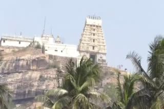 preparation for cheluvanarayanaswamy vairamudi fest