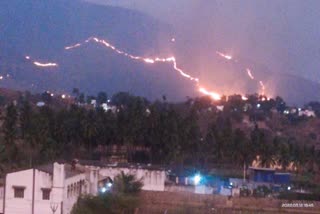 vaniyambadi-mountain-fire-accident