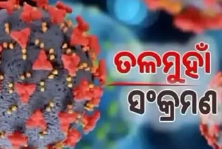 ଭିଜିଲାନ୍ସ ଜାଲରେ ସହକାରୀ କାର୍ଯ୍ୟନିର୍ବାହୀ ଯନ୍ତ୍ରୀ, ଏକ କାଳୀନ ୬ଟି ସ୍ଥାନରେ ରେଡ