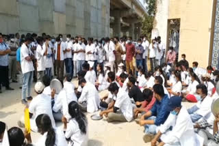 Veterinary Students protests from 7 days onwards