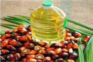 state-govt-plans-oil-palm-cultivation-in-20-lakh-acres-nirajan-reddy