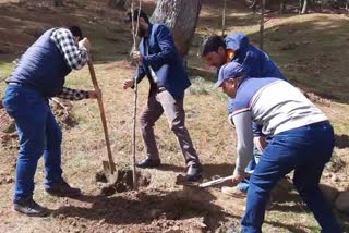 Plantation Drive in Kupwara: مغل پورہ، کپوارہ میں شجری کاری مہم