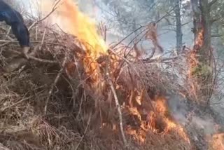 Fire Engulfs Aripal, Tral Forests: ترال کے آری پل جنگلات میں آتشزدگی