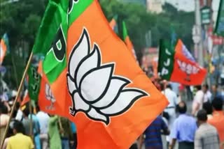 BJP Parliamentary Board has appointed central observers