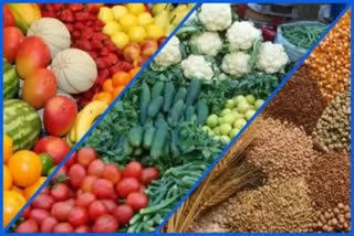 fruits and vegetables price in haryana