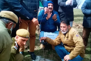 Plantation Drive at Budgam