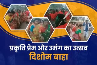 meaning of worship of Sal tree and different dress in Dishom Baha festival of Jharkhand