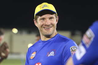 Shane Watson