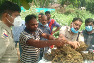 കഞ്ചാവുമായി ഒഡീഷ സ്വദേശി പിടിയിൽ  Odisha native arrested with 2 kg ganja  കഞ്ചാവുമായി പിടിയിൽ  ganja  കഞ്ചാവ്