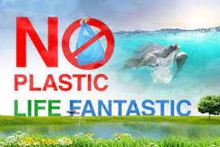 Bandipur to Be Plastic-Free