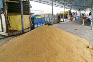 Wheat prices rise in India