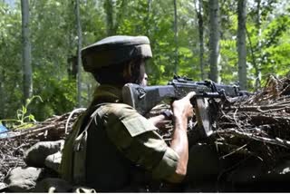 encounter in nowgam srinagar  let terrorist killed in nowgam in srinagar  encounter in jammu kashmir  ജമ്മുകശ്മീരിലെ നൗഗാമില്‍ ഭീകരരെ വധിച്ചു  മൂന്ന് ലക്ഷര്‍ഇതോയിബ ഭീകരരെ വധിച്ചു  കശ്മീരിലെ ഏറ്റുമുട്ടല്‍