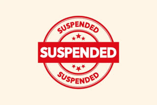 si suspension