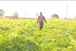 Mahabubnagar Farmer