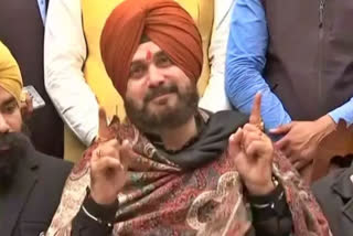 Punjab Navjot Sidhu