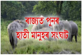 man-elephant-conflict-in-udalguri