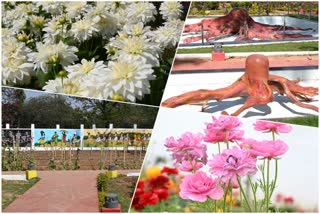 specialities-of-raj-bhavan-garden-of-jharkhand