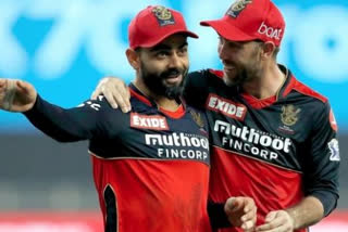 Glenn Maxwell in RCB, Glenn Maxwell on Virat Kohli, Glenn Maxwell comments, Royal Challengers Bangalore updates