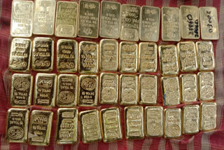 Gold Bar Recovered At Gaighata