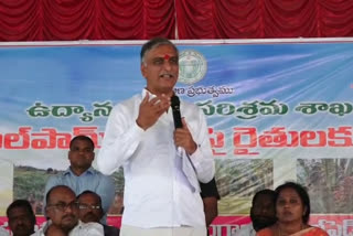 Harish RAO ON OIL FARM