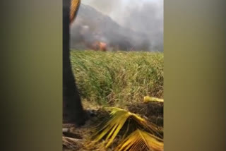 Opponents sets Fire to farm fields