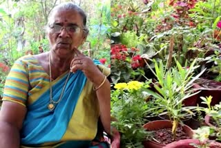 meenakshi amma grows vegetables and flowers  meenakshi amma kannur  meenakshi amma grows vegetables  മീനാക്ഷിയമ്മ പച്ചക്കറി കൃഷി  മീനാക്ഷിയമ്മ കണ്ണൂർ പൂക്കൾ കൃഷി