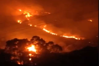 Kotagiri Mullur forest  Mullur forest  forest fire  Wildfire in Kotagiri Mullur forest  காட்டுத்தீ  முள்ளூர் வனப்பகுதியில் காட்டுத்தீ  கோத்தகிரி முள்ளூர் வனப்பகுதி  கோத்தகிரி முள்ளூர் வனப்பகுதியில் காட்டுத்தீ