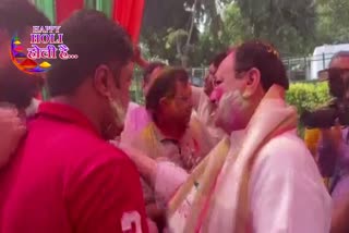 bjp president jp nadda celebrated holi