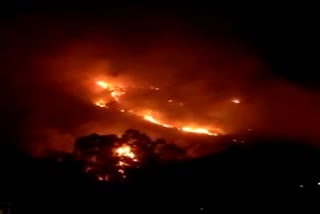 Wildfire in Tamil nadu Mullur forest