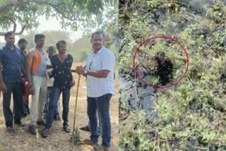 Rowdy who hide into the pond caught by drone camera in Tenkasi  പൊലീസിന്‍റെ കണ്ണുവെട്ടിച്ച് പ്രതി ഒളിച്ചത് ചതുപ്പിൽ  തെങ്കാശി ഡ്രോൺ ക്യാമറ ഉപയോഗിച്ച് പ്രതിയെ പിടികൂടി  തെങ്കാശി പ്രതി പിടിയിൽ  accused hide nto the pond caught by drone camera in Tenkasi  ഡ്രോൺ ക്യാമറ ഉപയോഗിച്ച് പ്രതിയെ തെരച്ചിൽ  ഡ്രോൺ ക്യാമറ ഉപയോഗിച്ച് അന്വേഷണം  accused search by drone