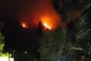 Wilffire in Kotagiri Mullur forest  nilgiri forest fire  കാട്ടുതീ പടരുന്നു  നീലഗിരി വനമേഖലയിൽ കാട്ടുതീ  tamil nadu latest news