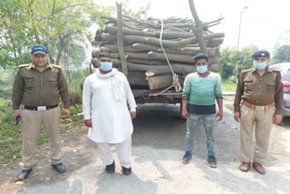 arrested wood smugglers