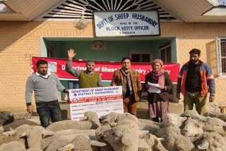 Sheep Distribution Scheme in Ganderbal: گاندربل میں محکمہ شیپ ہسبنڈری کی جانب سے بھیڑ تقسیم