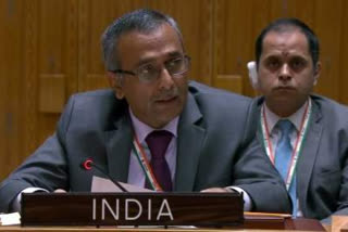 India at UNSC backs convention prohibiting biological weapons