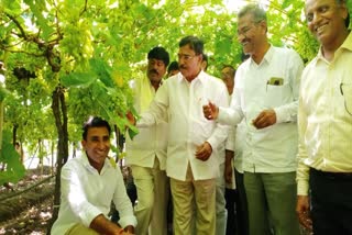 Telangana Agriculture Minister Maharashtra tour