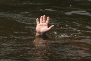 Three youth drown to death while taking bathe in dam in MP
