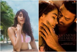 pooja hegde comments
