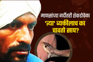 more than 500 times snake bite a man in ausa latur