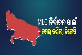 UP MLC Election