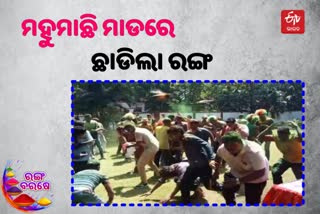 Holi: ହୋଲି ଖେଳ ବେଳେ ଅଘଟଣ, ମହୁମାଛିର ଶିକାର ହେଲା ରାଞ୍ଚି ପୋଲିସ