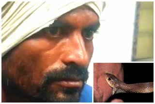 snake bites to a person in Latur