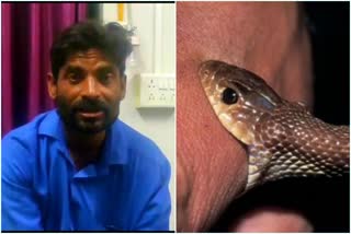 snake bite person anil gaikwad