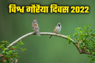 World Sparrow Day 2022